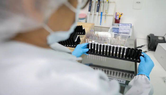  Fiocruz obtém patente para tratamento contra malária resistente 